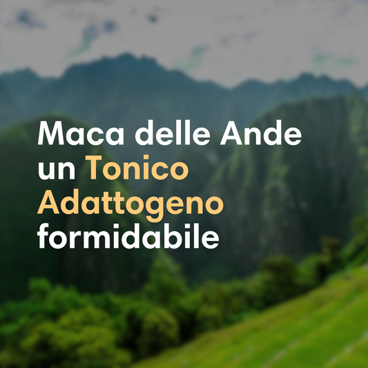 Maca delle Ande®: Il Superfood Naturale di Naturincas per il Tuo Benessere Completo