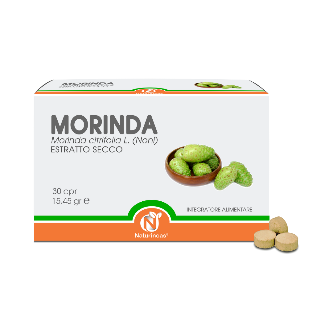 Morinda