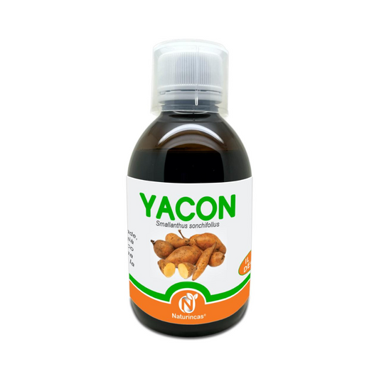 Yacon